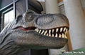 VBS_0874 - Dinosauri. Terra dei giganti